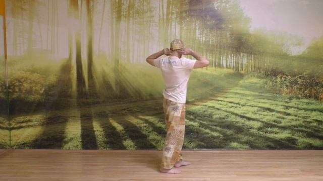Цигун для начинающих (5)