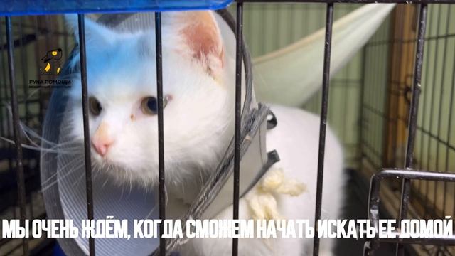 Долька спешит порадовать вас новостями. Поддержать⬇️