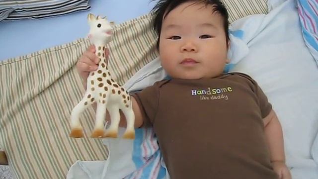 Vulli Sophie the Giraffe: Oscar Winner