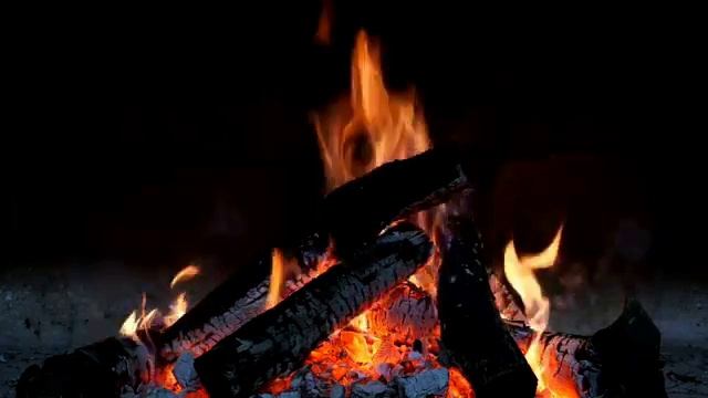 НАША РЕАЛЬНОСТЬ...что вижу , о том и пою...