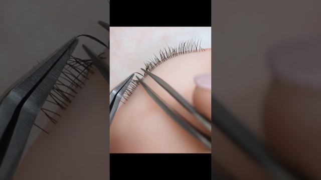 УПРАЖНЕНИЯ ДЛЯ НОВИЧКОВ!
СМОТРИ НА ВИДЕО И ЧИТАЙ ОПИСАНИЕ ⬇️