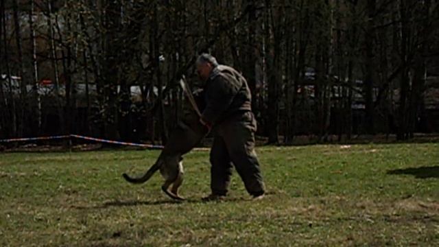 Тоник /Харитон Кузьмич/ Защита от двух нападающих часть  1 Замедленная съемка. Москва 23.04.2016