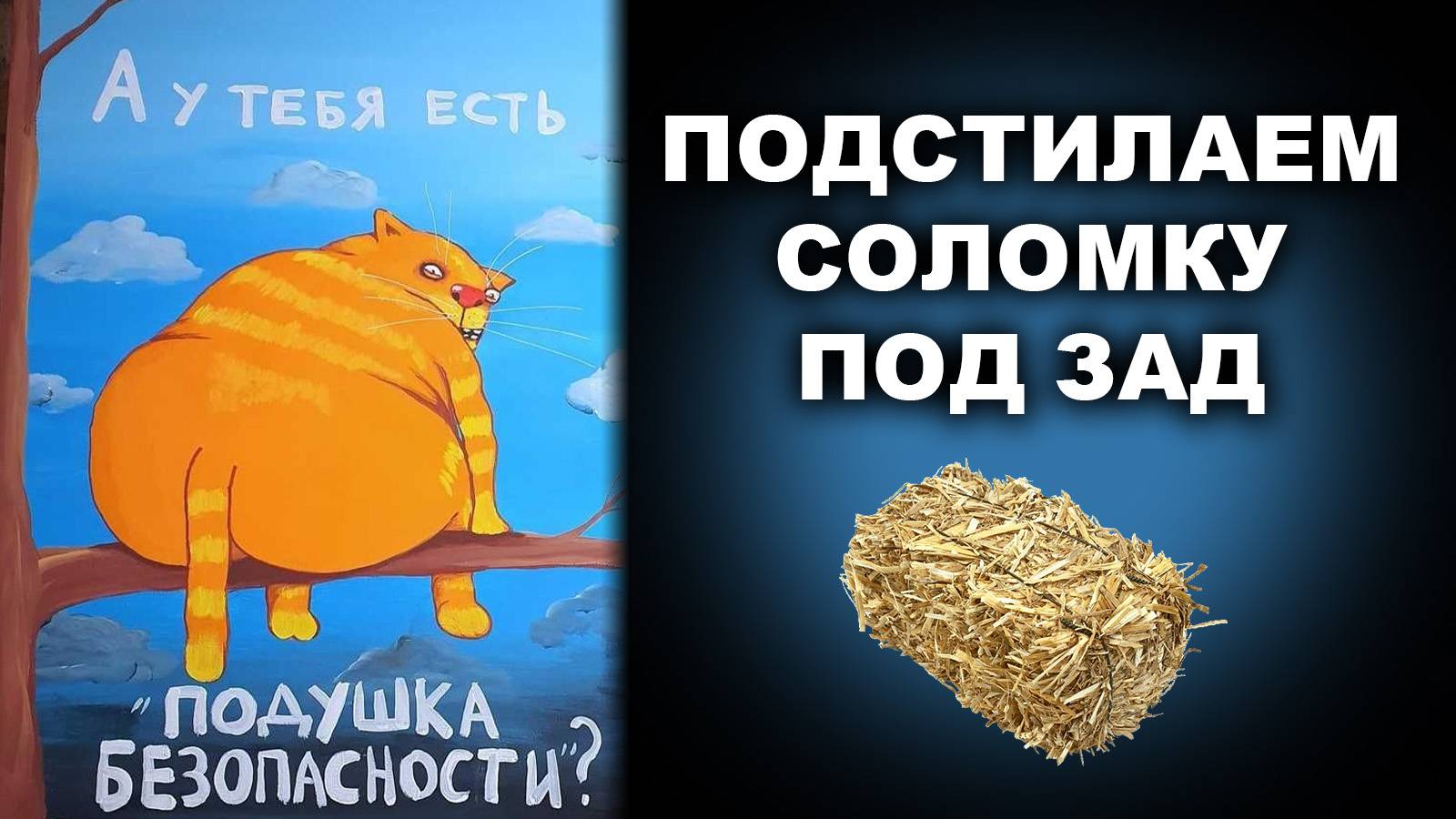 ПОДСТИЛАЕМ СОЛОМКУ ПОД ЗАД