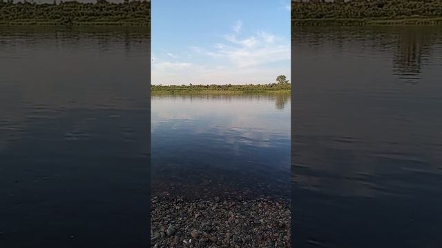 1000028248.mp4