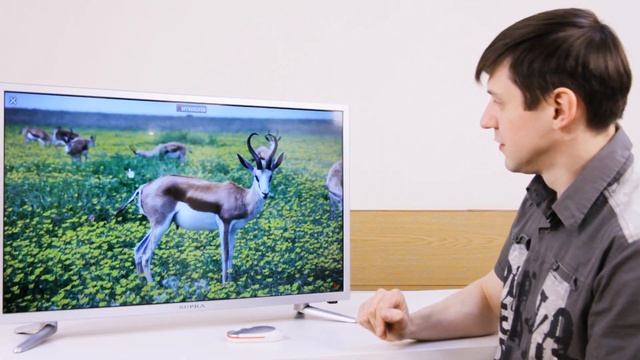 Смарт телевизор SUPRA STV-LC32ST3001F