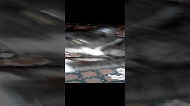 1001116620.mp4
