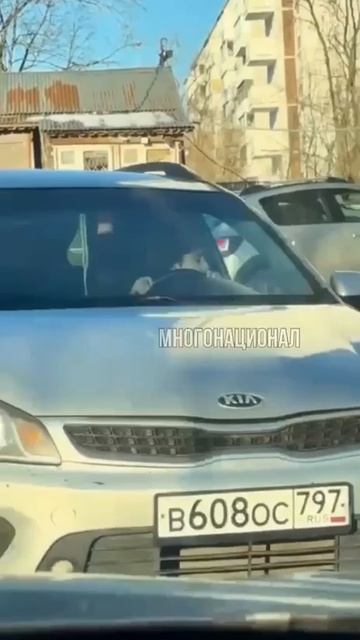 ОТПРЫСКИ МИГРАНТОВ КАТЮТСЯ ПО КАЙФУ !!!