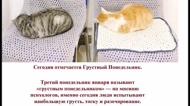 Сегодня отмечается Грустный Понедельник