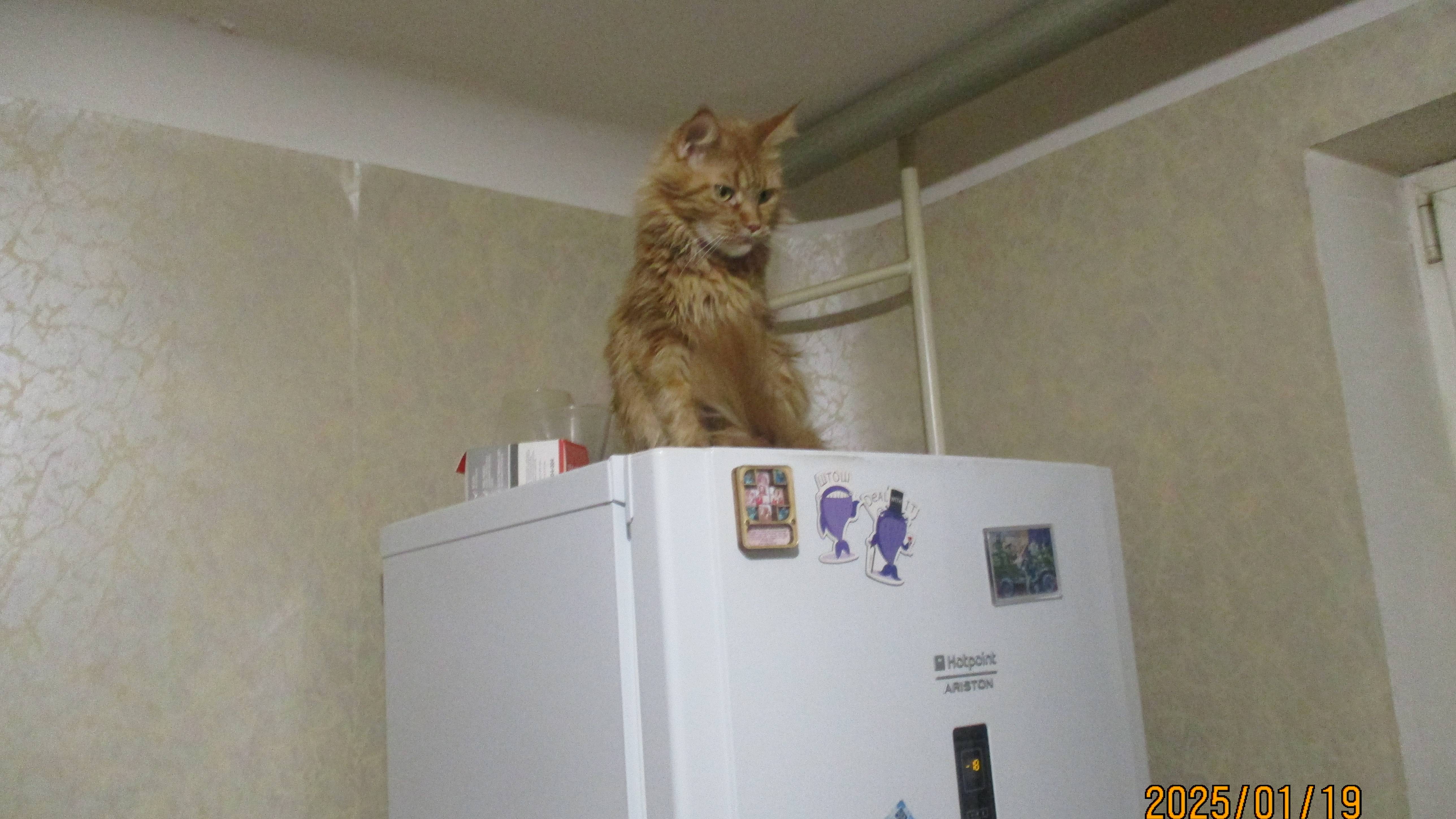 на верху