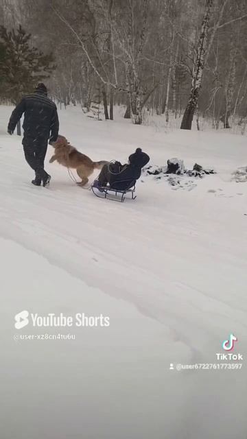 Прогулка.