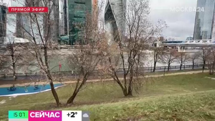 Желтый уровень опасности из-за гололедицы объявили в Московском регионе до 30 января