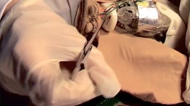 Dinosaur robot autopsy with Maker Faire