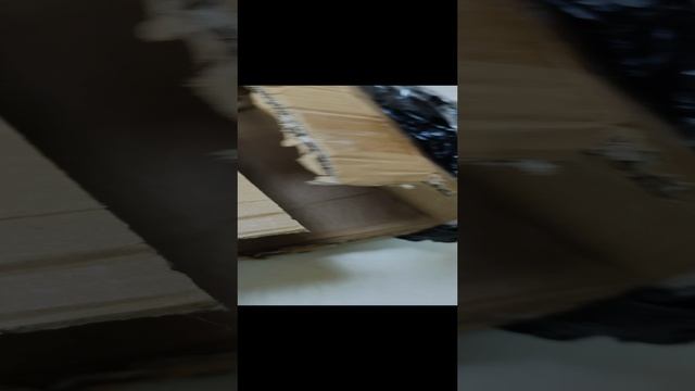 1000131587.mp4