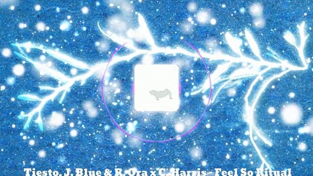 MV Tiësto, J. Blue & R. Ora x C. Harris - Feel So Ritual Djs From Mars x Rudeejay & Da Brozz Bootle