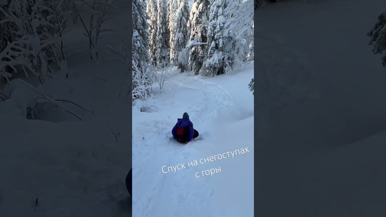 Спуск на снегоступах сопряжён с некоторыми сложностями #зимняясказка #зимнийлес #кольский #северный