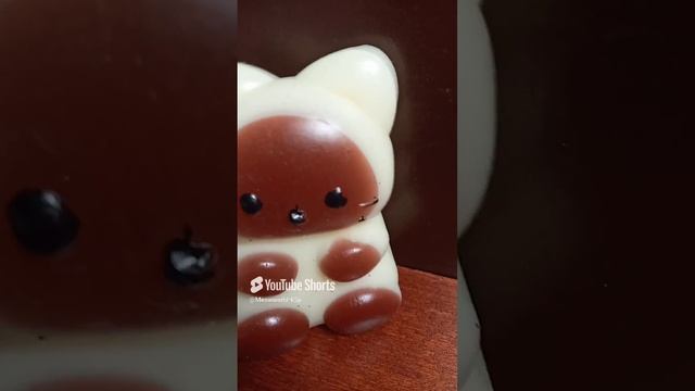 Где водится рыбка_ 🤣🤣 #котики #meowworld #cat #антистресс #kitty #cute #funny #memes #табалапка.mp4