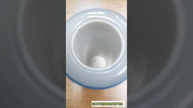 Термостат - оттаиватель