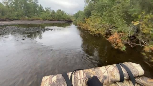 Водометные приключения 2024