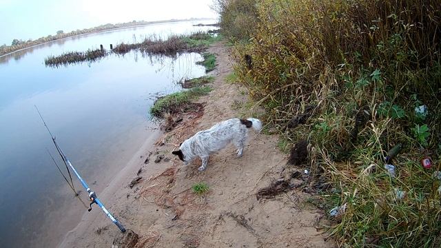 Что такое смирение, любовь. Две заповеди