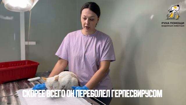 К нам поступил новый пациент Емеля. Поддержать⬇️