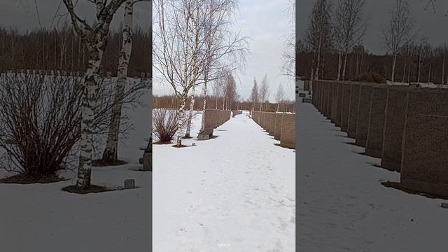 Воинское захоронение немцев под Санкт-Петербургом