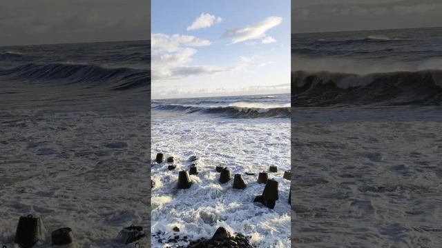 Сегодняшнее море в Сочи 🌊 Всем желаем отличного начала недели 👍🏻  #сочи #сочисегодня #сочисейчас