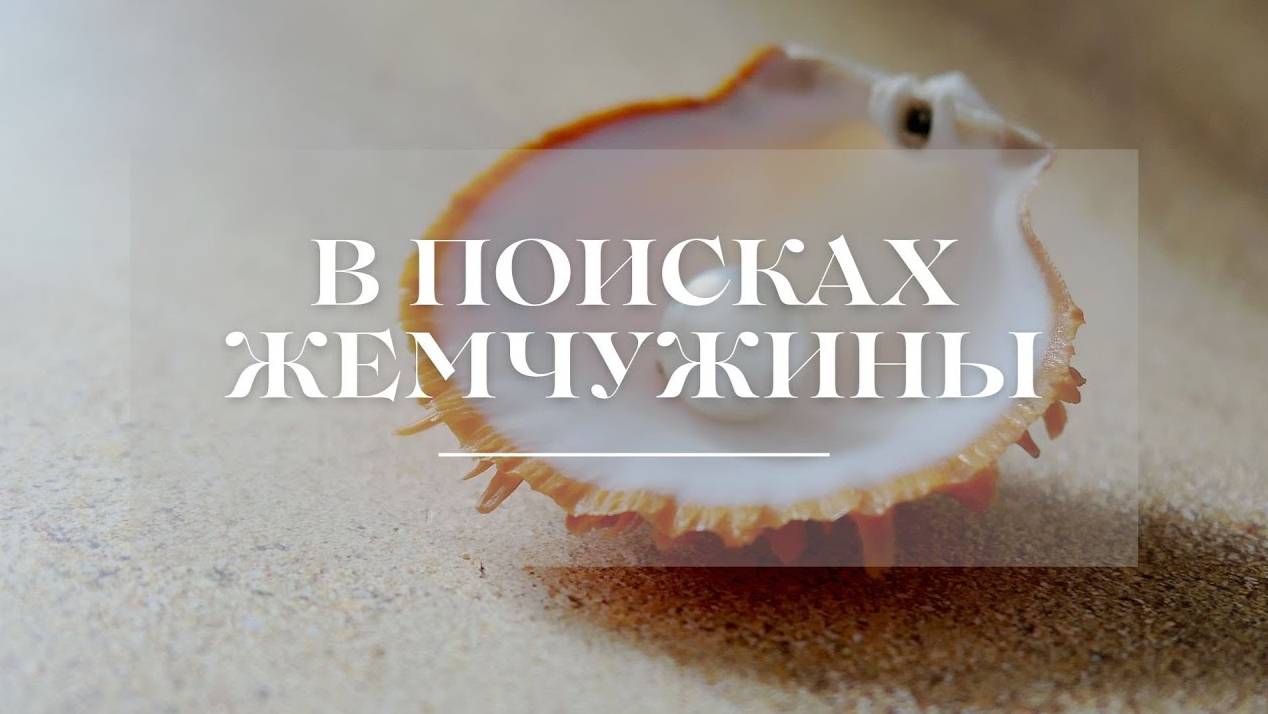 В ПОИСКАХ ЖЕМЧУЖИНЫ!