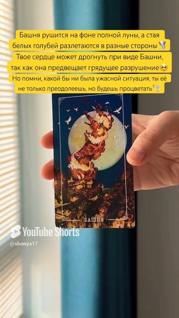 🌪️#картадня #cardoftheday #таро #совет #tarot #таропрогноз