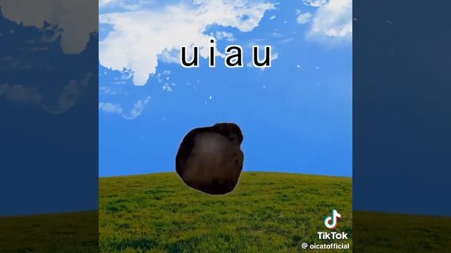 1000010495.mp4