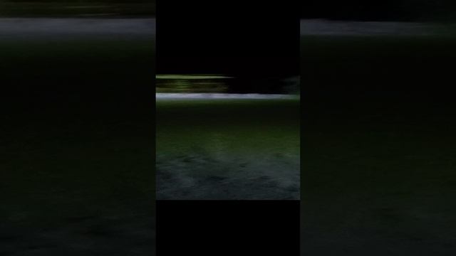 1000001160.mp4