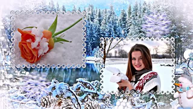Зимушка Зима!!! Розы на снегу от Киностудии Мудрого Кота Тимофея!
