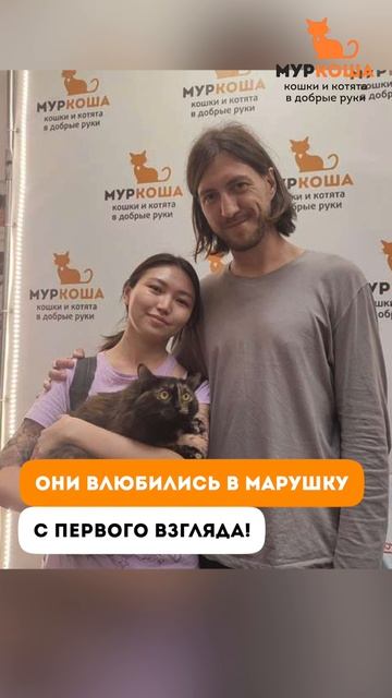Кошечка Марушка - история спасения.
#Муркоша #истории спасения