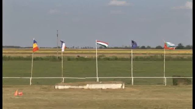 Конете на България: Български коне на празника на Унгария, автор Диана Александрова