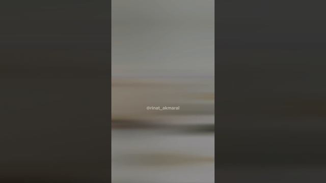 Не ищите счастья, вы и есть счастье!