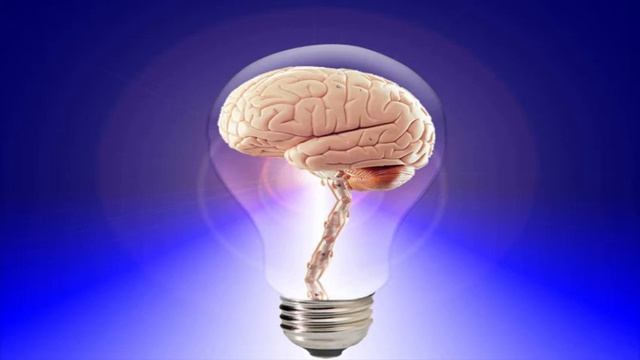 General knowledge quiz.  Fill your mind with useful information (lesson 1)