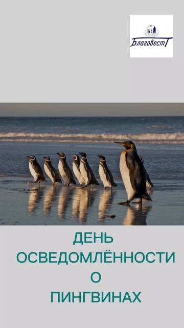 Какой сегодня день 20 января #2025 #благовест #АндрейЛишин #sizovsproduction#праздник Фонд Благовест