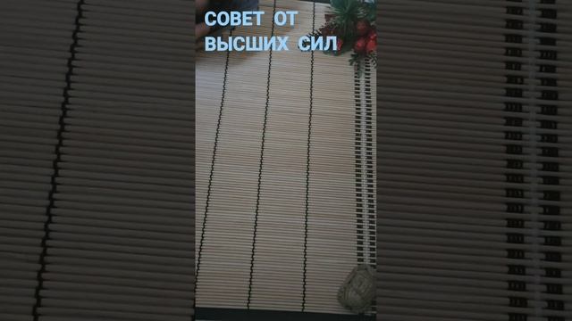 СОВЕТ ОТ ВЫСШИХ СИЛ