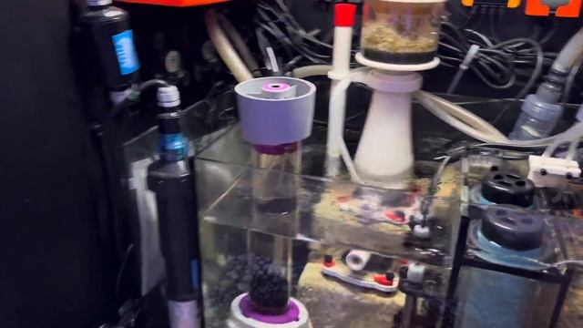 Experience: My Thoughts On Running UV Sterilizers On Reef Tanks