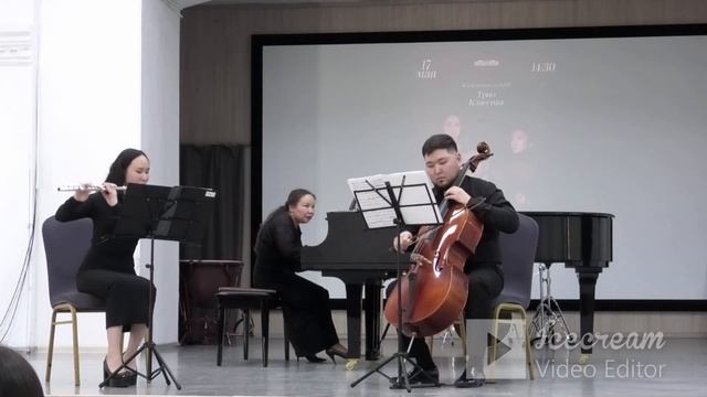 Концерт классической музыки «Гармония звука» инструментального трио «Классика».