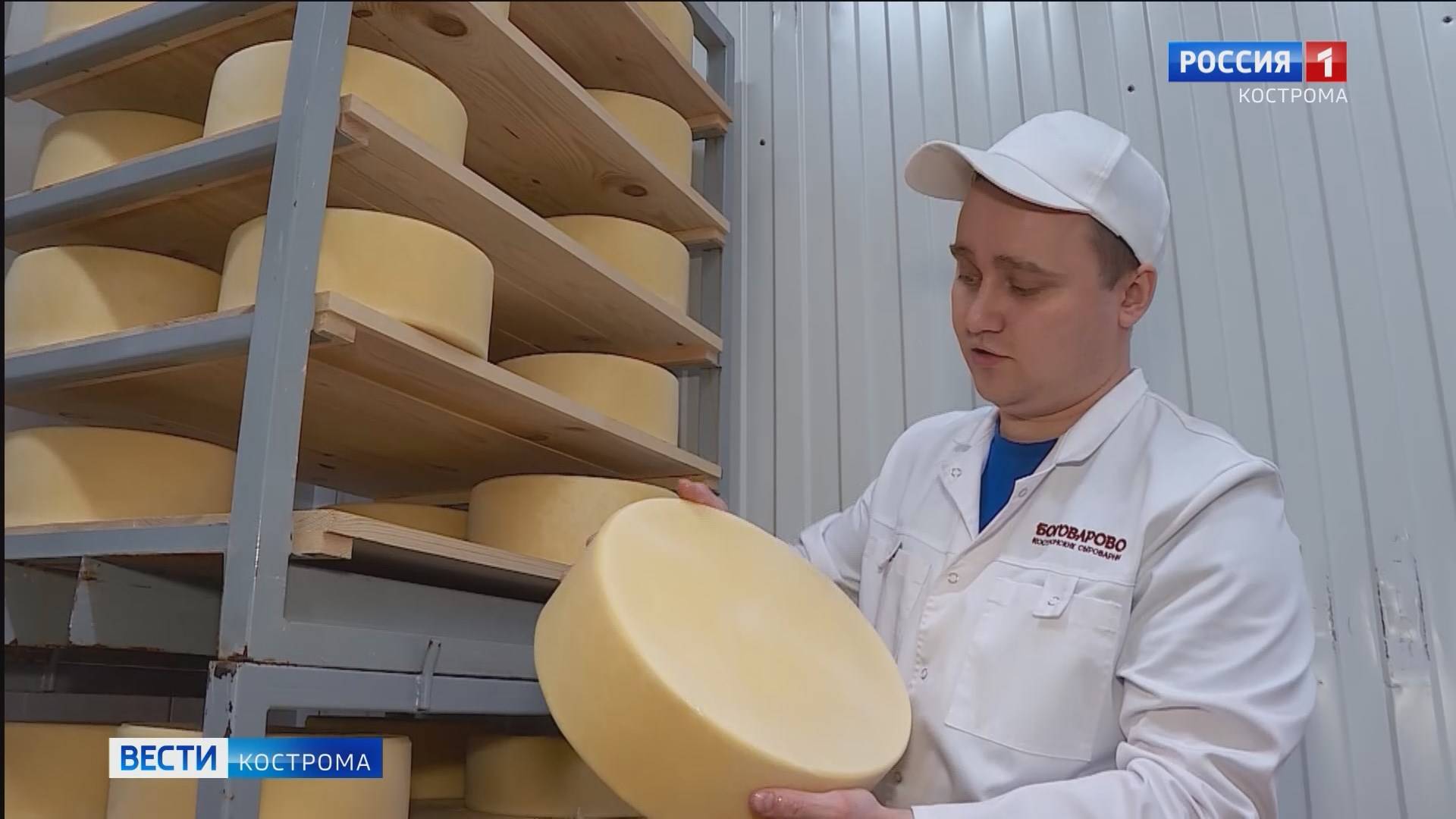День любителей сыра в Костроме отмечается с привкусом гордости