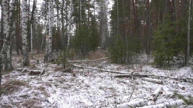 В полицию обратился мужчина с заявлением, что он убил свою жену