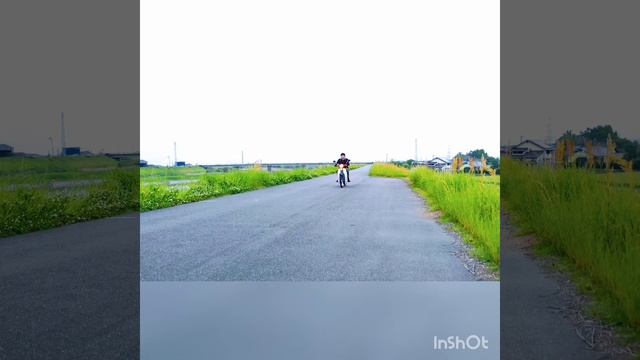 【SUPER CUB 50 Custom―角目カブ―】#角目カブ