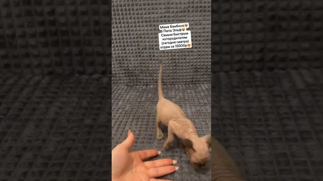 1000081969.mp4