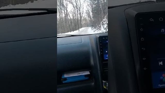 Встреча тигра и людей