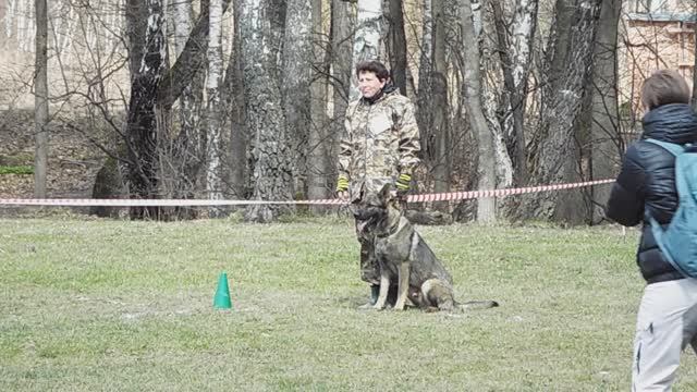 Тоник /Харитон Кузьмич/ Послушание  Москва 23.04.2016