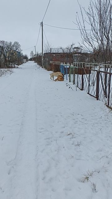 Сэм развоевался