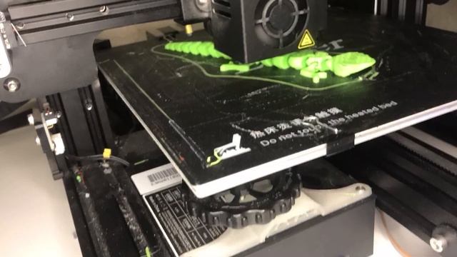 Articulated Chameleon - 3D Printing Time-Lapse on Creality Ender 3