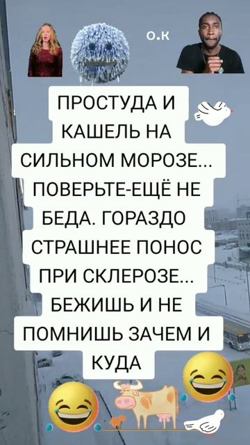 #Всем хорошего настроения🧚♂️🧚♀️