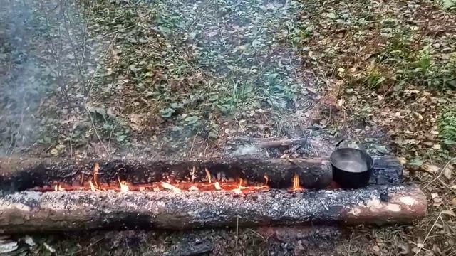 Как неправильно выбрать длину топора