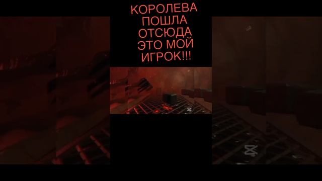 СПОР СИКА И КОРОЛЕВЫ ГРАМБЛОВ